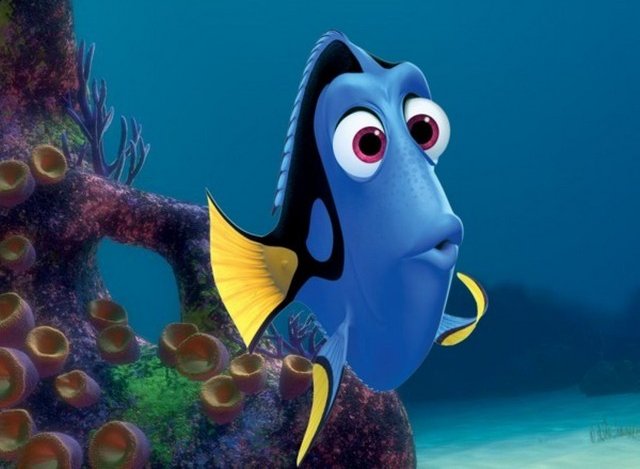 Finding Dory and learning differences